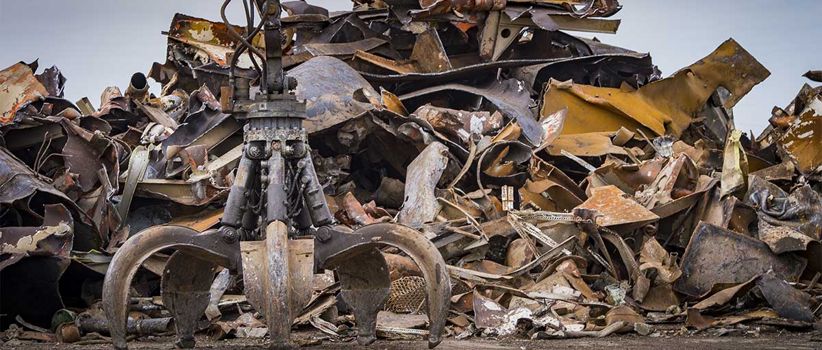 ضایعات مجیدیه